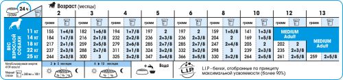 SHN_MEDIUM PUPPY_feeding table