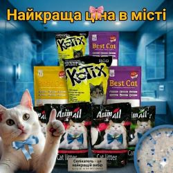 Селикагель - лучший выбор