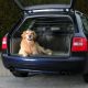 Автоаксесуари для собак в авто