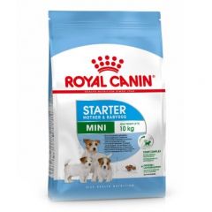 Royal Canin (Роял Канин) Mini Starter сухой корм для щенков мини пород до 2-х месячного возраста и беременных собак