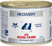 Royal Canin Recovery диета для собак и кошек в восстановительный период после болезни