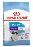 Royal Canin Роял Канин) Giant Puppy сухой корм для щенков гигантских пород от 2 до 8 месяцев