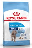 Royal Canin (Роял Канин) Maxi Puppy Active сухой корм для активных щенков крупных макси пород