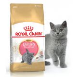 Royal Canin Kitten British Shorthair роял канин сухой корм для котят британской породы