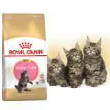 Royal Canin Kitten Maine Coon роял канин сухой корм для котят породы мейн кун до 15 месяцев