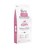 Brit (Брит) Care Grain-free Puppy Salmon сухой беззерновой корм с лососем для щенков и молодых собак всех пород