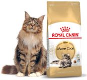 Royal Canin Мaine Coon 31 сухой корм роял канин для взрослых крупных кошек, для мейн кунов