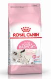 Royal Canin Mother & Babycat - роял канин сухой корм для котят до 4 месяцев, беременных и кормящих кошек