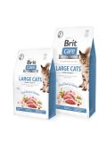 Brit Care Cat Grain Free Large Cats Power & Vitality - полнорационный беззерновой сухой корм на основе утки и курицы для взрослых кошек крупных пород